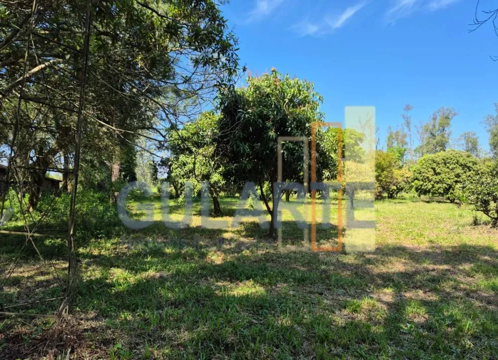 Fazenda, 98 hectares - Foto 4