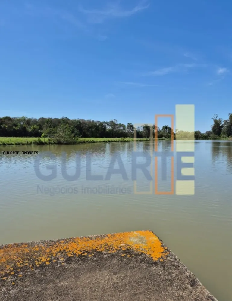 Fazenda, 98 hectares - Foto 1