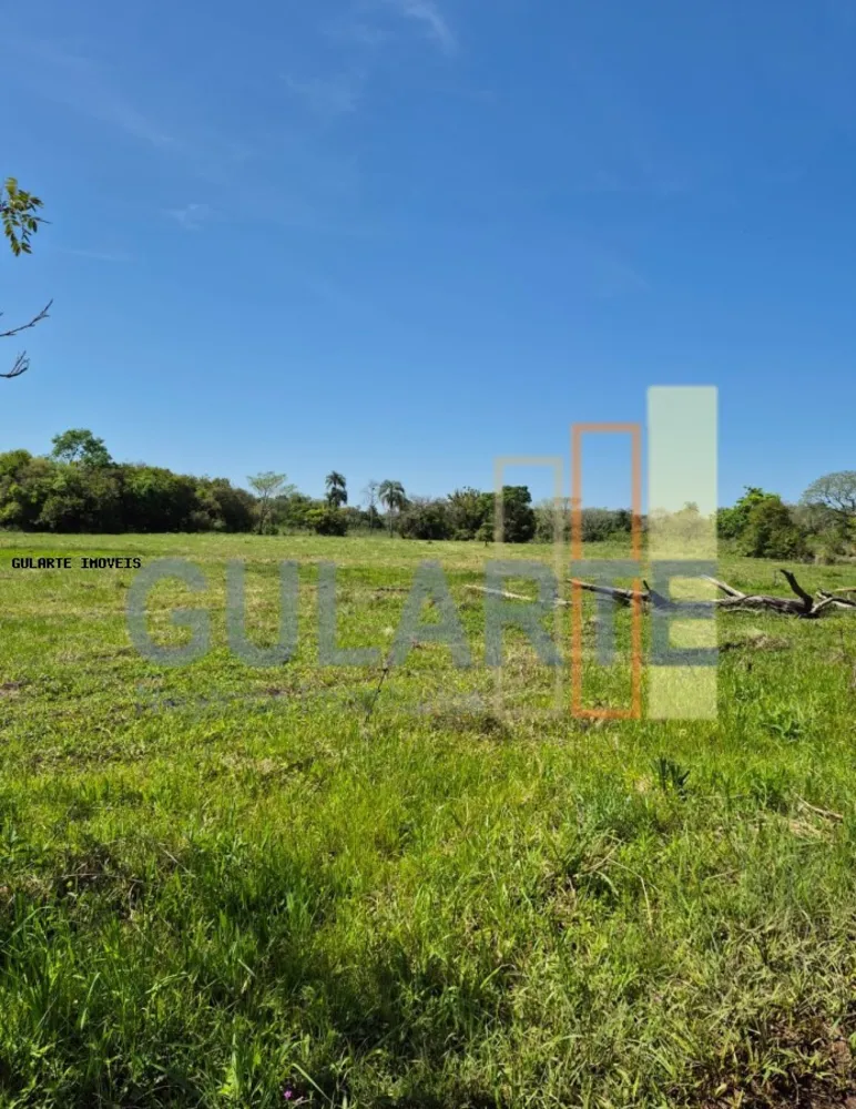 Fazenda, 98 hectares - Foto 6