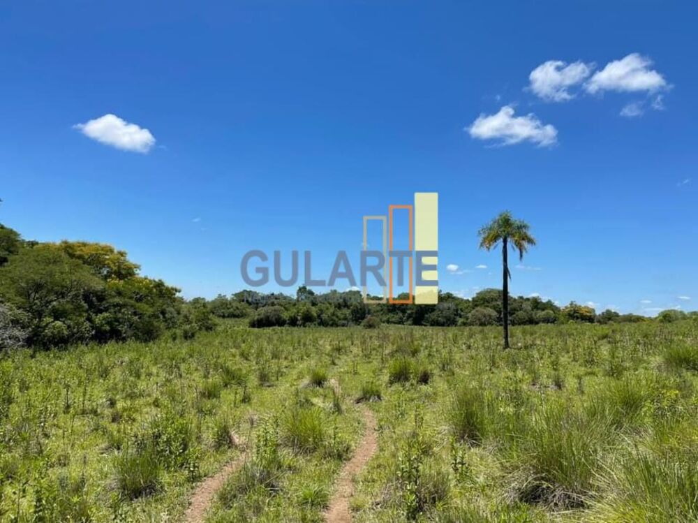 Fazenda, 530 hectares - Foto 7