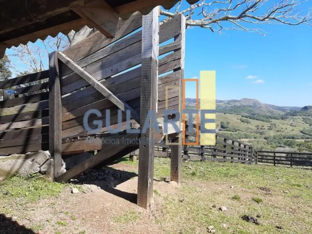 Fazenda, 530 hectares - Foto 4