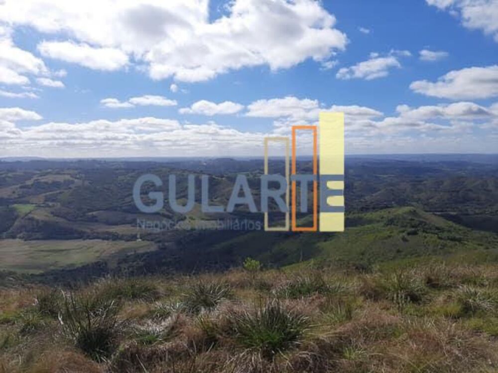 Fazenda, 530 hectares - Foto 6