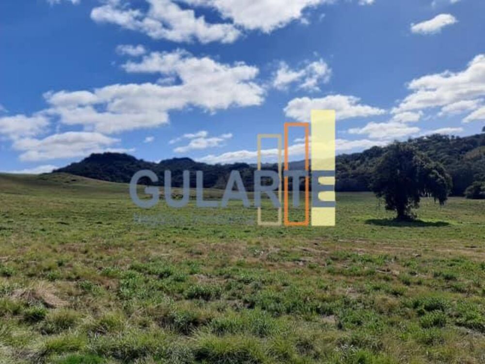 Fazenda, 530 hectares - Foto 8
