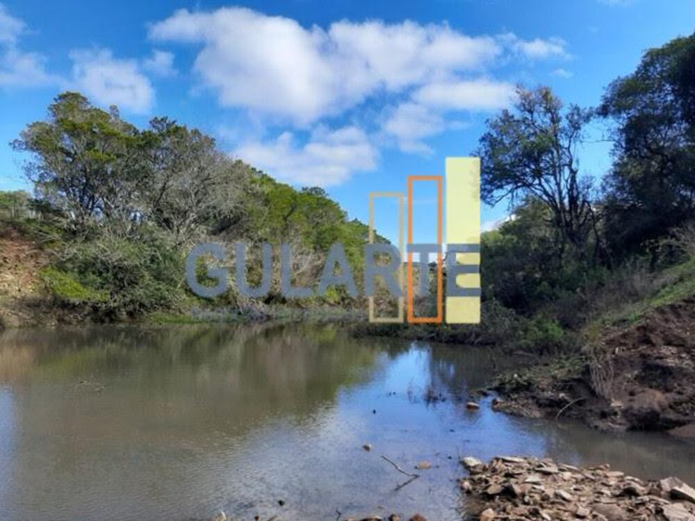 Fazenda, 530 hectares - Foto 3