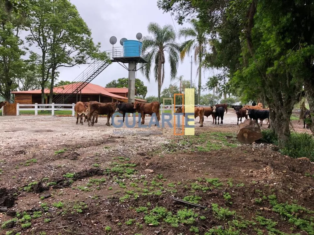 Fazenda, 530 hectares - Foto 2