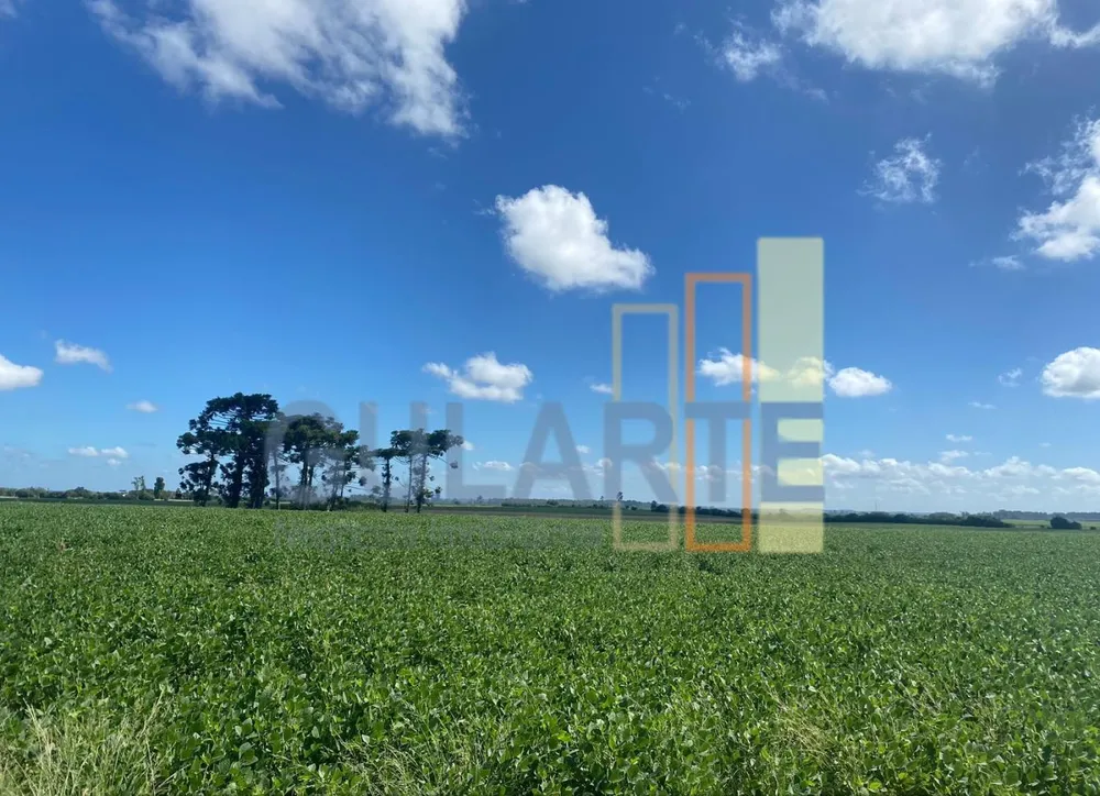 Fazenda, 640 hectares - Foto 8