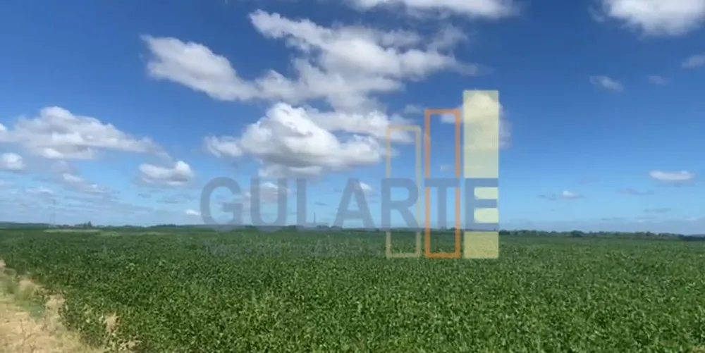 Fazenda, 640 hectares - Foto 6