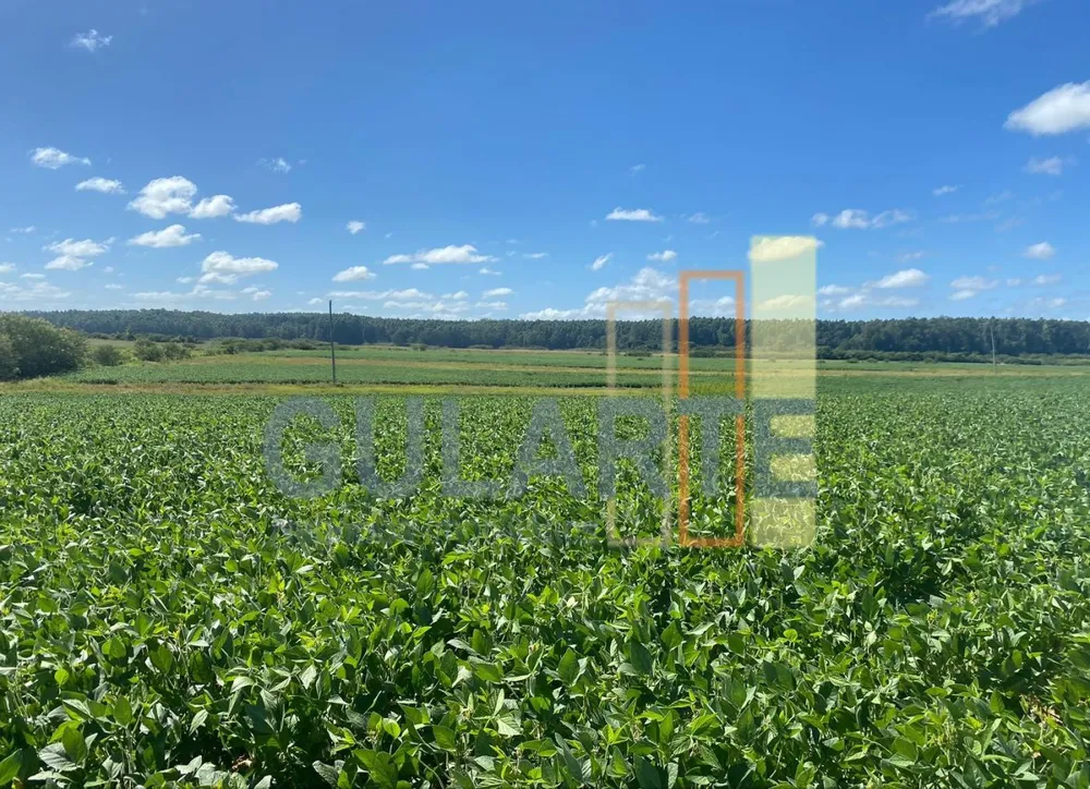 Fazenda, 640 hectares - Foto 2