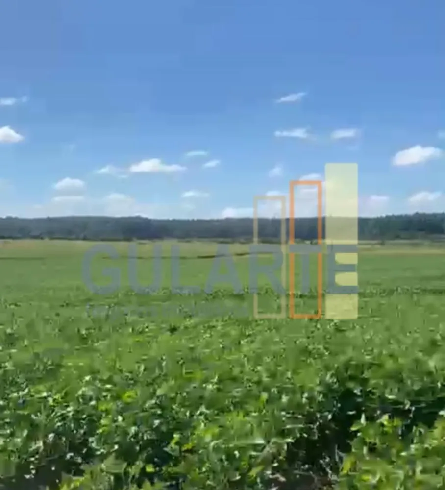 Fazenda, 640 hectares - Foto 4