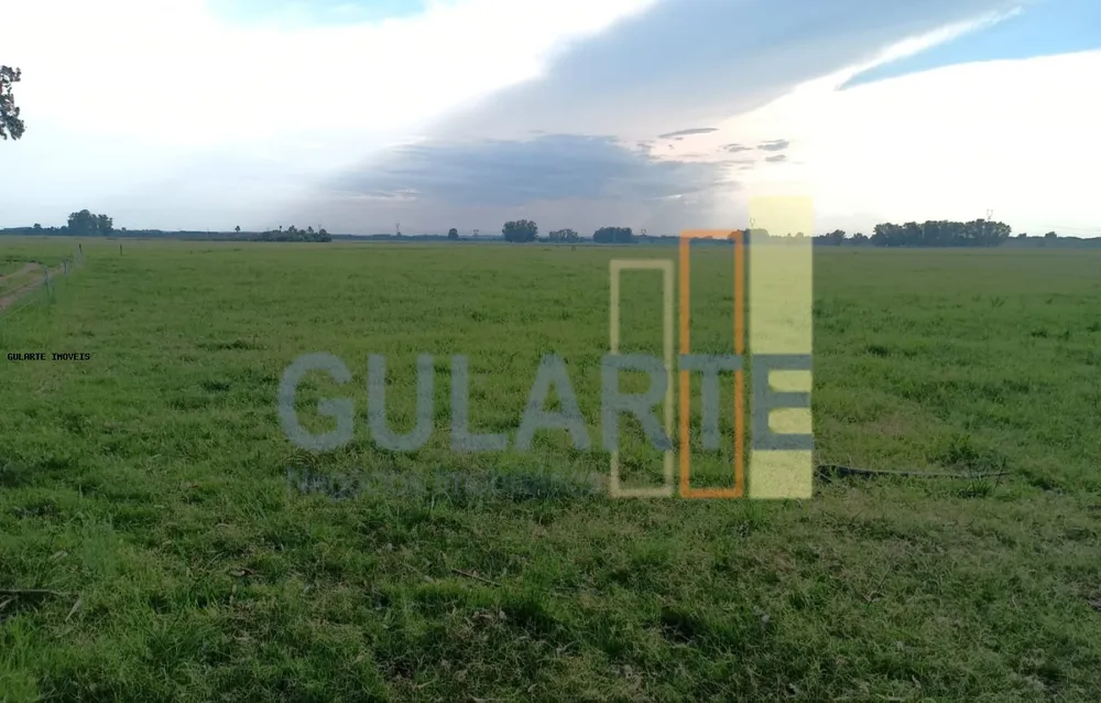 Fazenda, 30 hectares - Foto 4