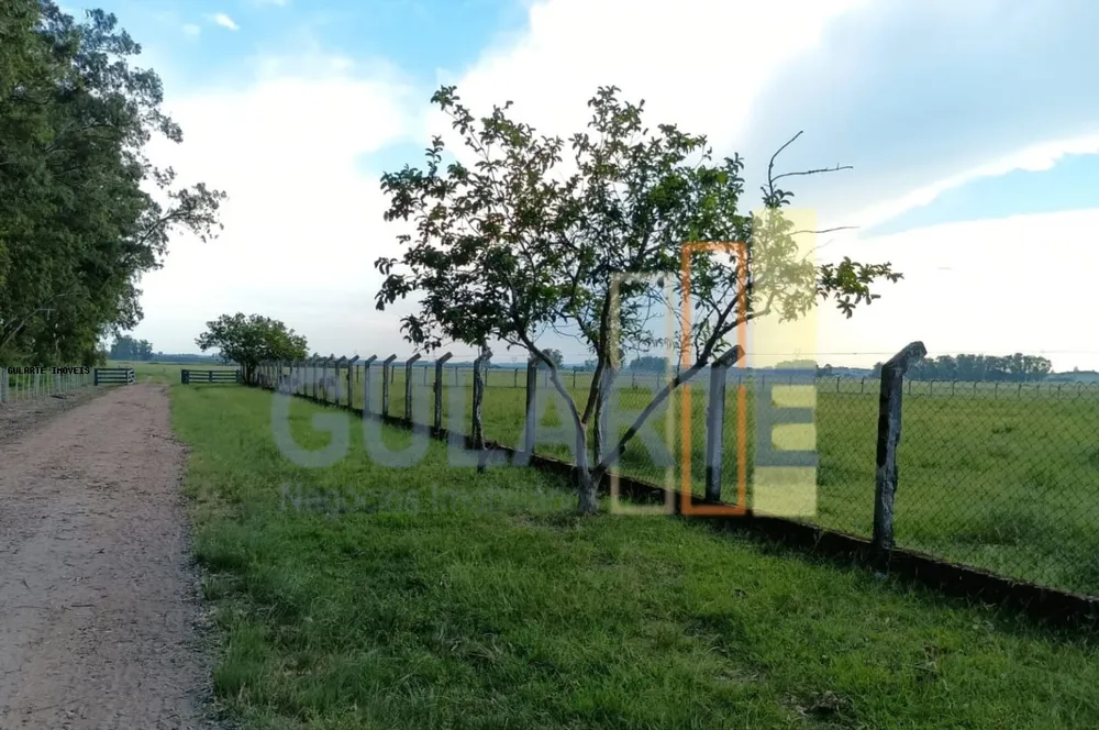Fazenda, 30 hectares - Foto 6
