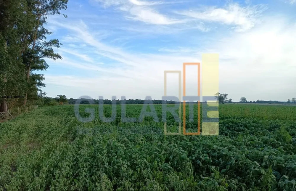 Fazenda, 30 hectares - Foto 8