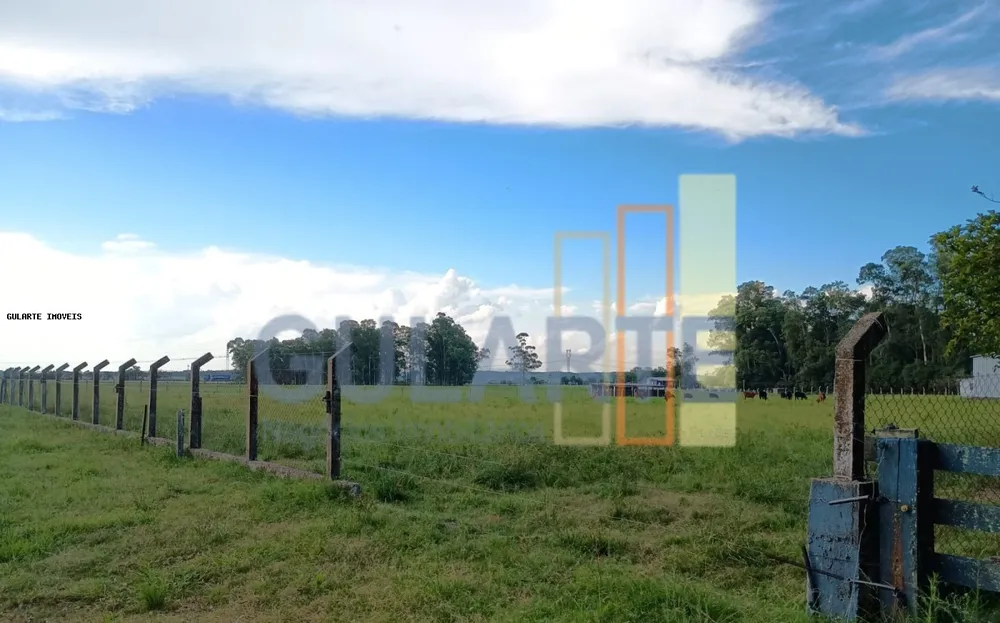 Fazenda, 30 hectares - Foto 7