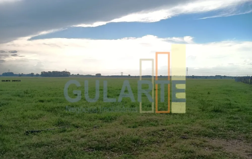 Fazenda, 30 hectares - Foto 3
