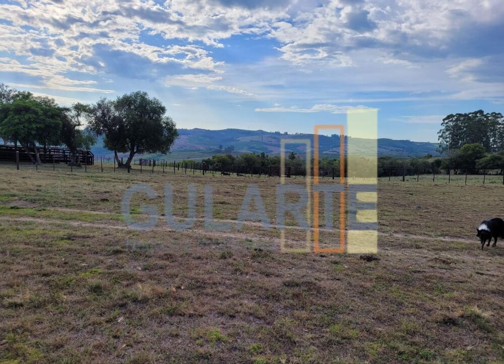Fazenda à venda, 194m² - Foto 4