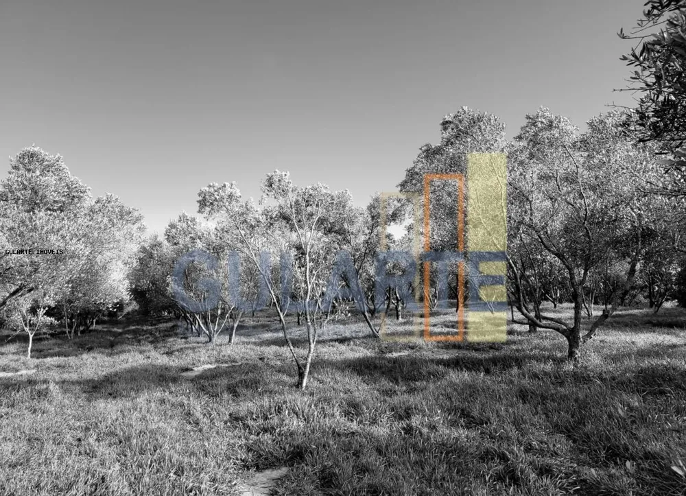 Sítio, 19 hectares - Foto 12