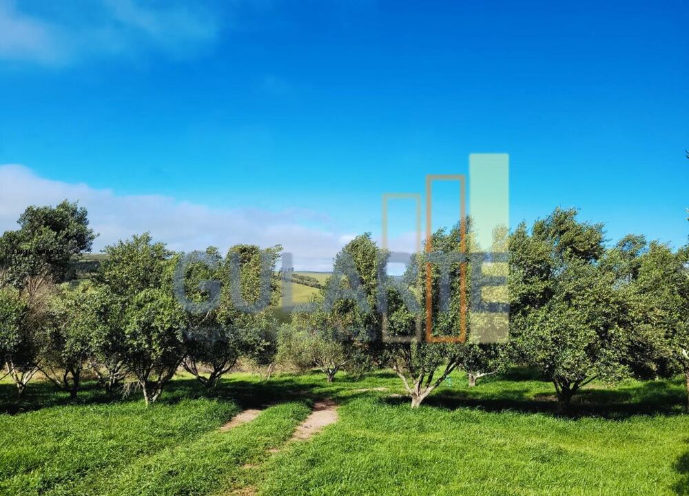 Fazenda, 19 hectares - Foto 7