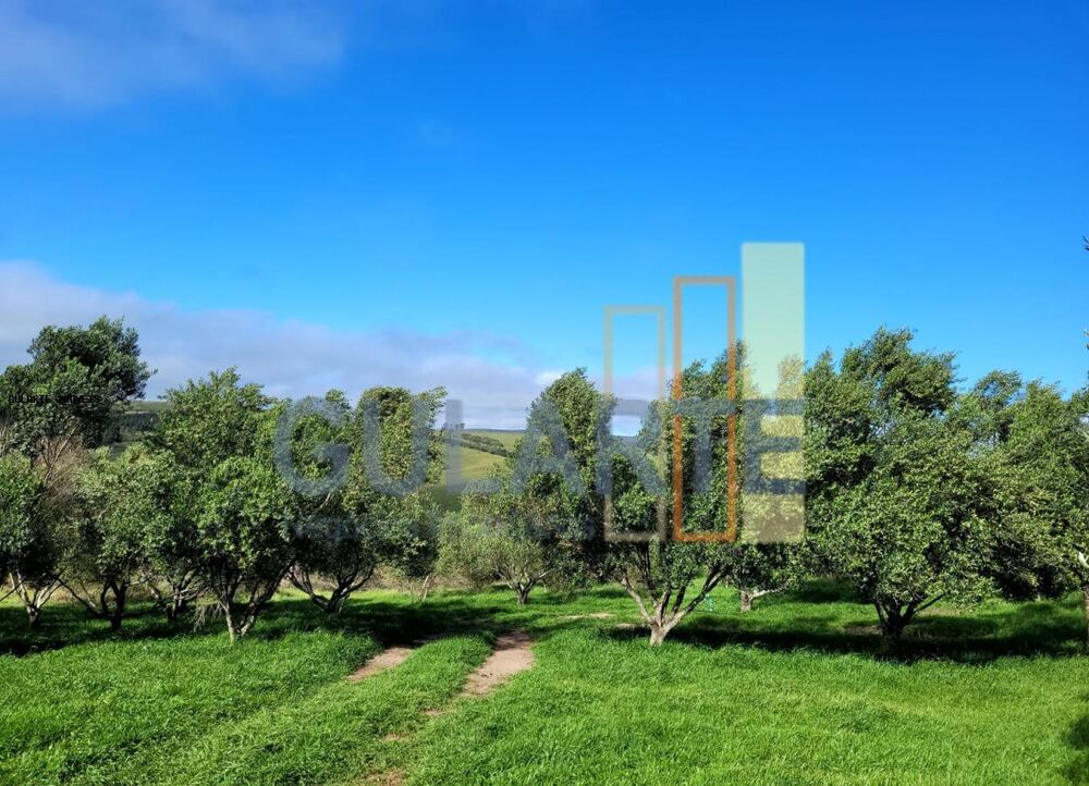 Fazenda, 19 hectares - Foto 6