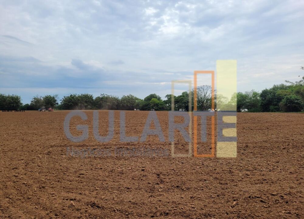 Fazenda à venda com 4 quartos, 80000m² - Foto 7