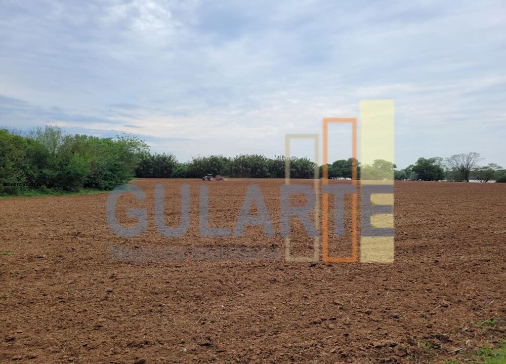 Fazenda à venda com 4 quartos, 80000m² - Foto 5