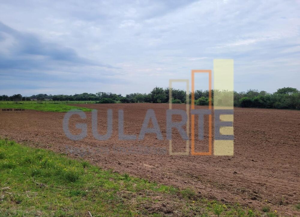 Fazenda à venda com 4 quartos, 80000m² - Foto 8