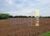 Fazenda-Sítio-Chácara, 8 hectares - Foto 1