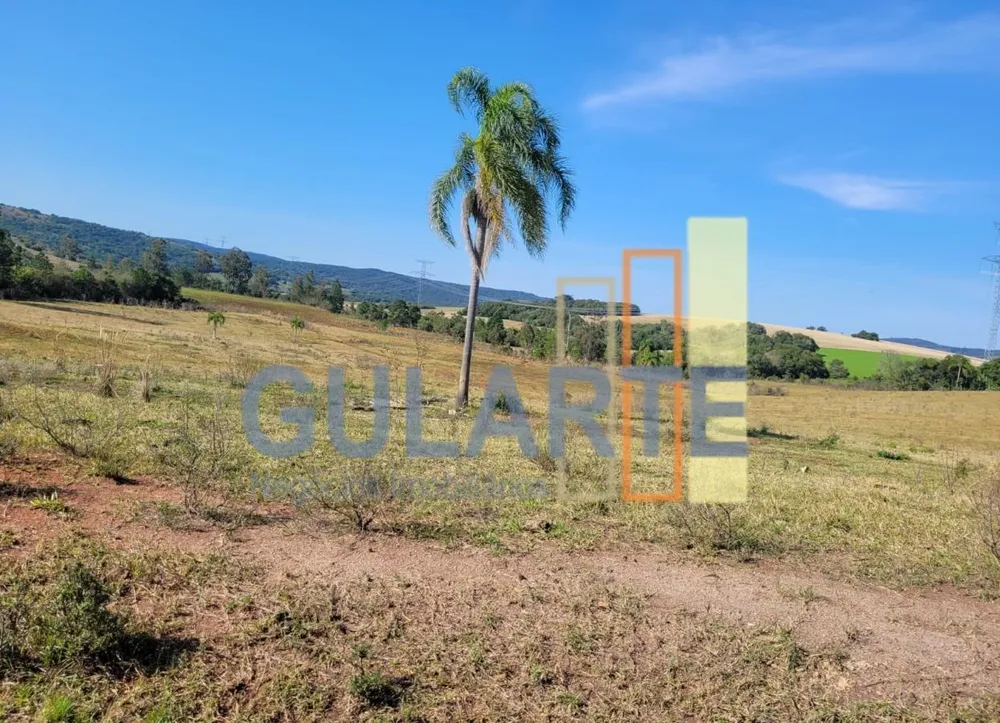 Fazenda, 686 hectares - Foto 7