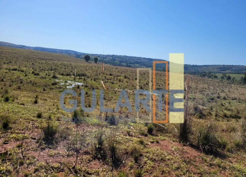 Fazenda, 686 hectares - Foto 6