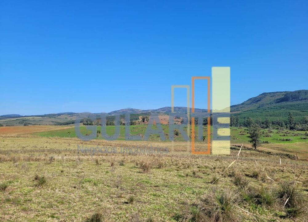 Fazenda-Sítio-Chácara, 686 hectares - Foto 4