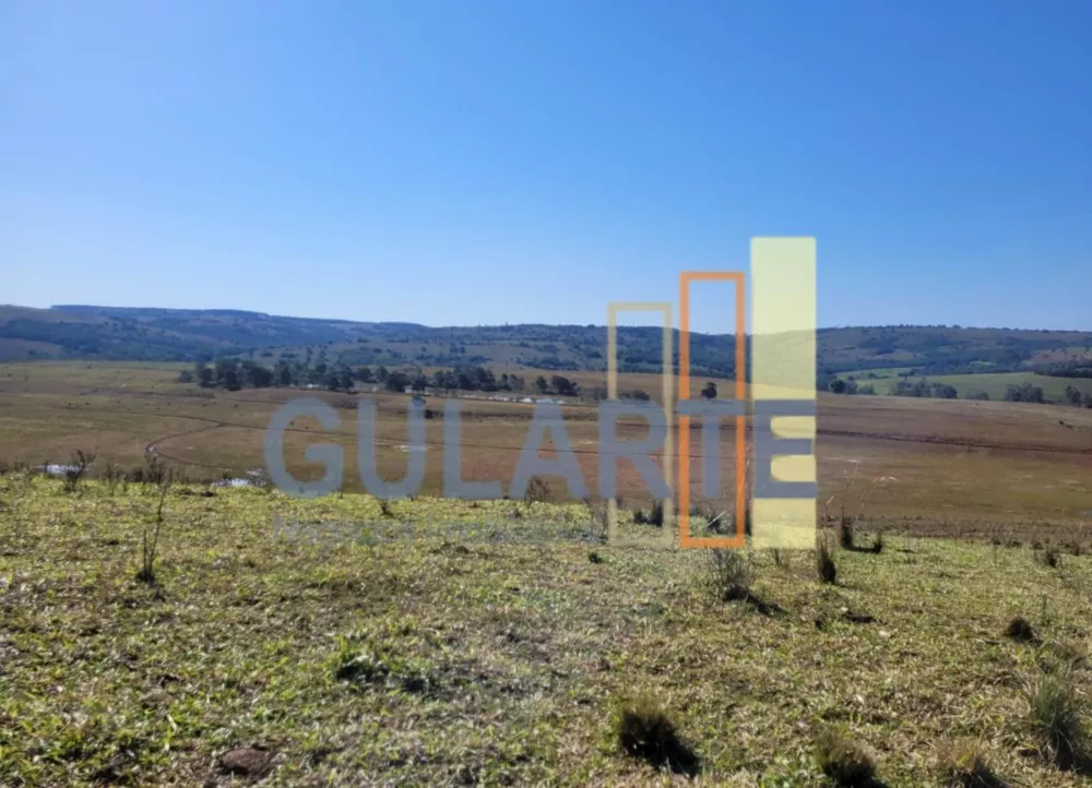 Fazenda, 686 hectares - Foto 3