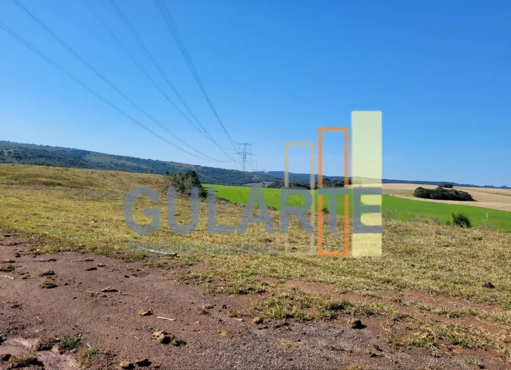 Fazenda, 686 hectares - Foto 9