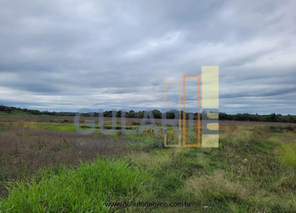 Fazenda, 65 hectares - Foto 8
