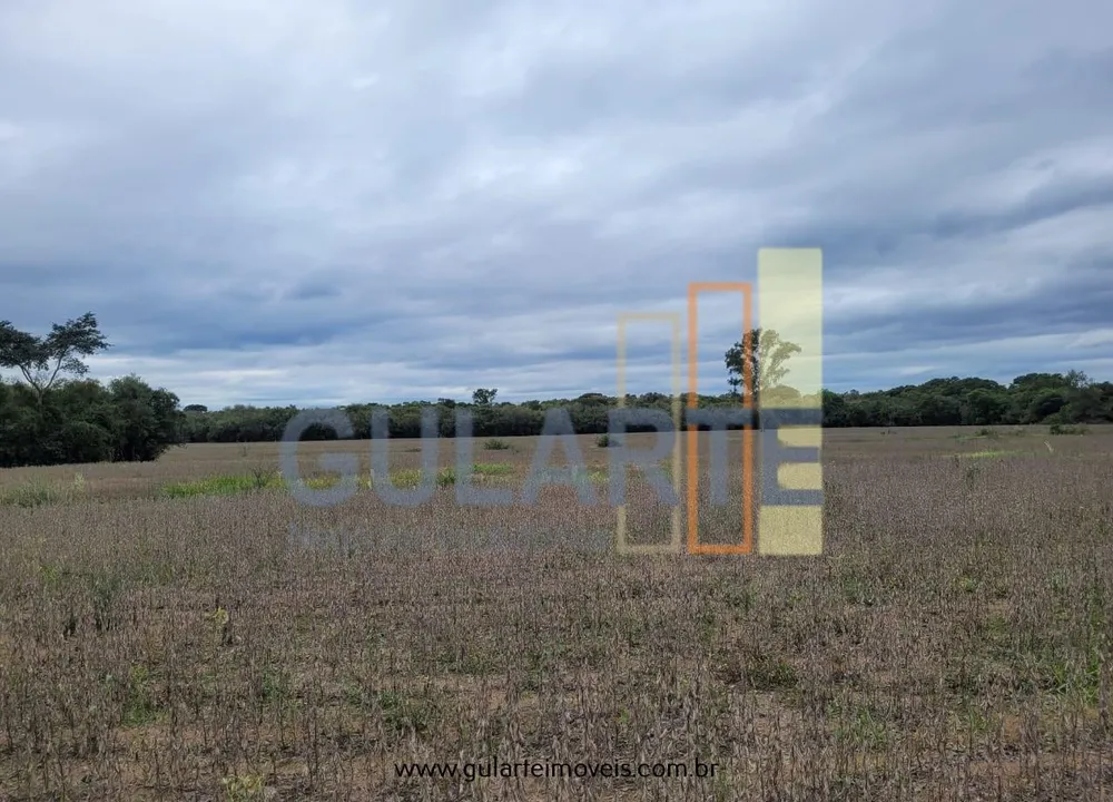 Fazenda, 65 hectares - Foto 10