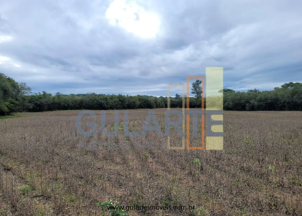 Fazenda, 65 hectares - Foto 9
