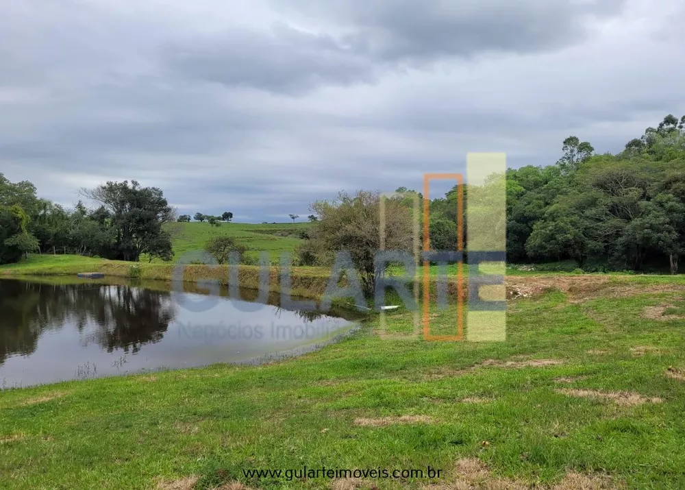 Fazenda, 65 hectares - Foto 7
