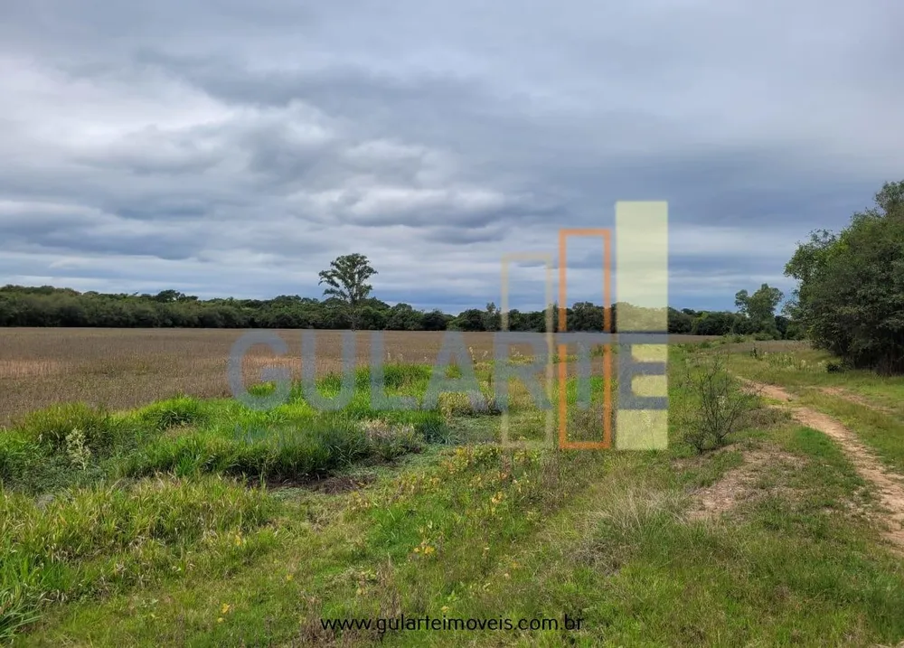 Fazenda, 65 hectares - Foto 12