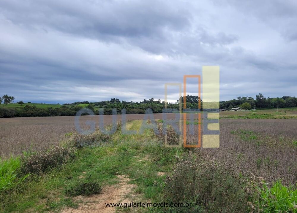 Fazenda à venda, 650000m² - Foto 3