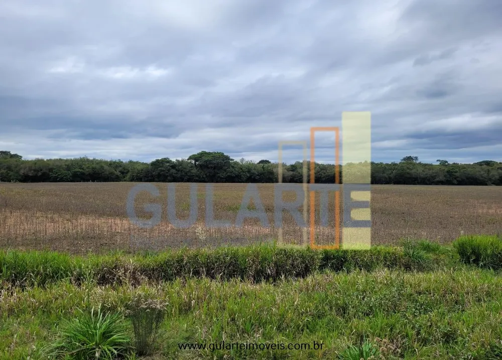 Fazenda, 65 hectares - Foto 10