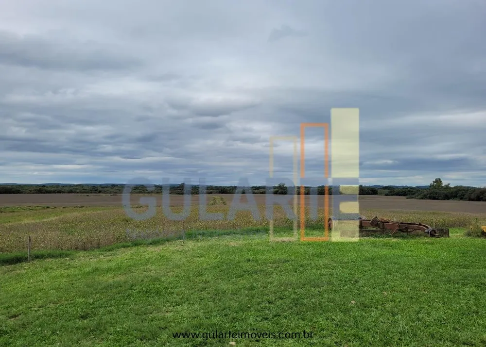Fazenda, 65 hectares - Foto 12