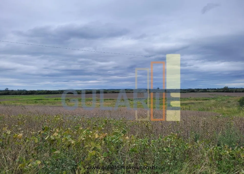 Fazenda, 65 hectares - Foto 1