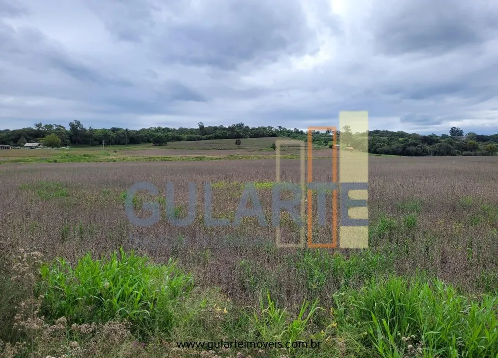 Fazenda, 65 hectares - Foto 11