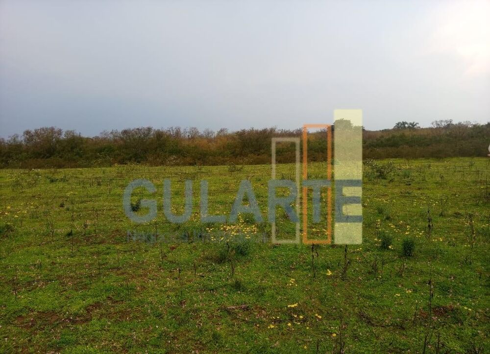 Fazenda, 100 hectares - Foto 3