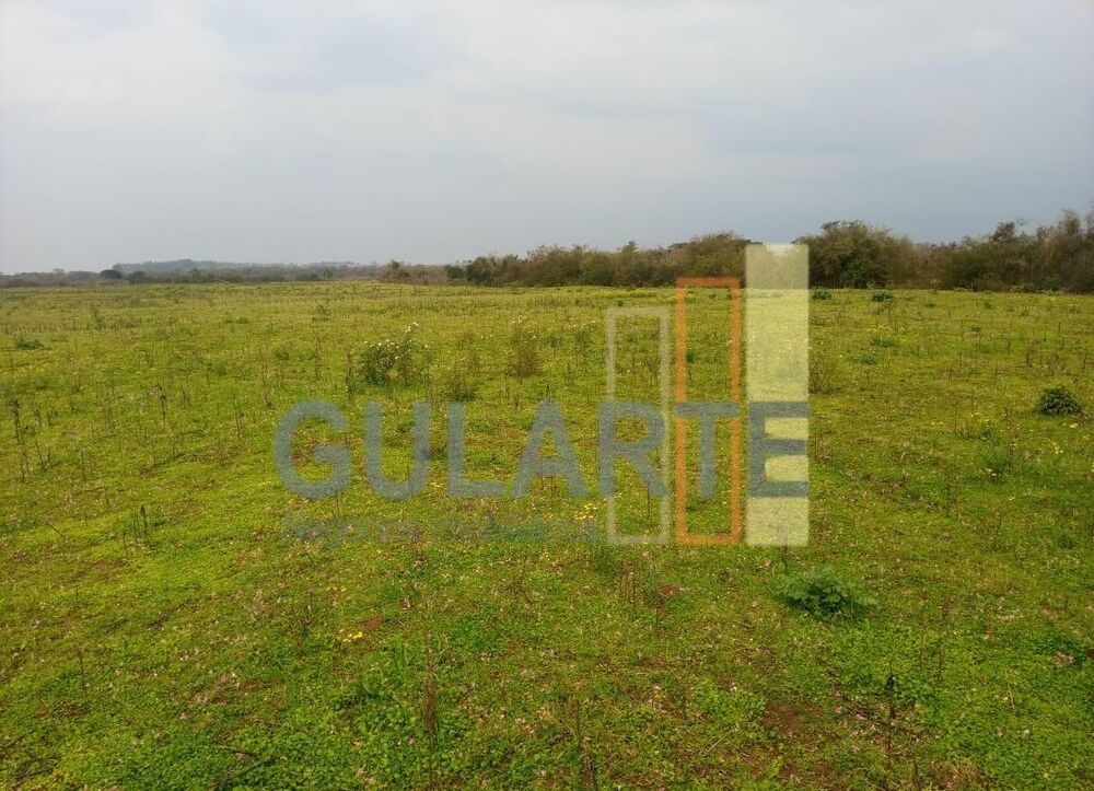 Fazenda, 100 hectares - Foto 1