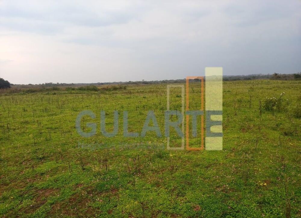 Fazenda, 100 hectares - Foto 2