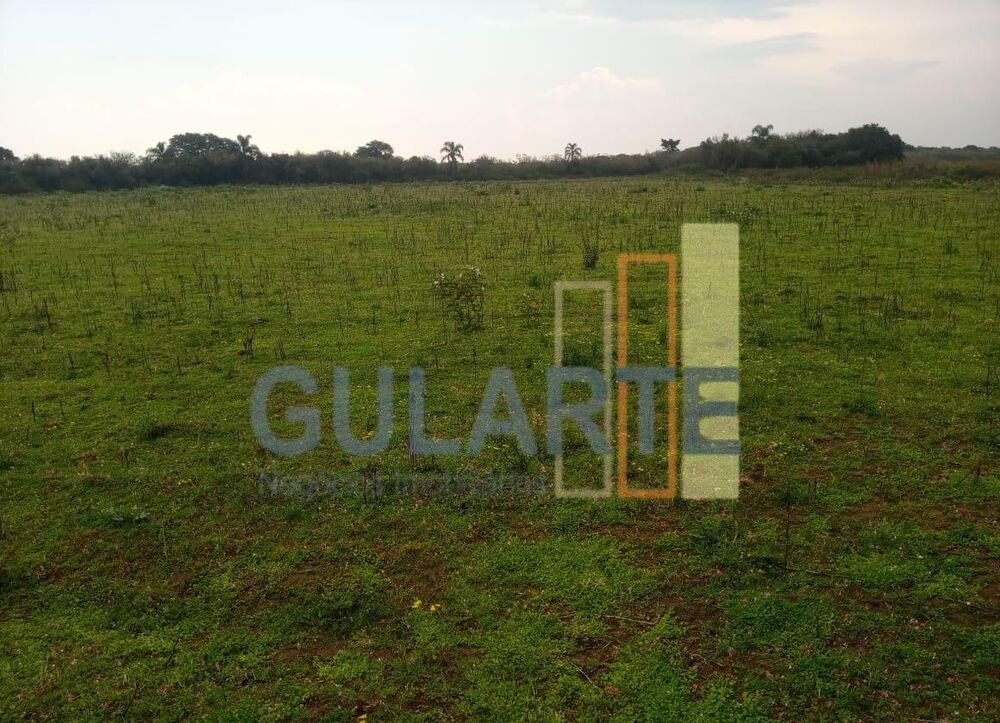 Fazenda, 100 hectares - Foto 4