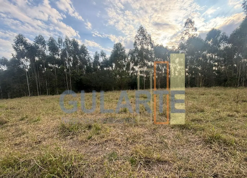 Fazenda, 56 hectares - Foto 1