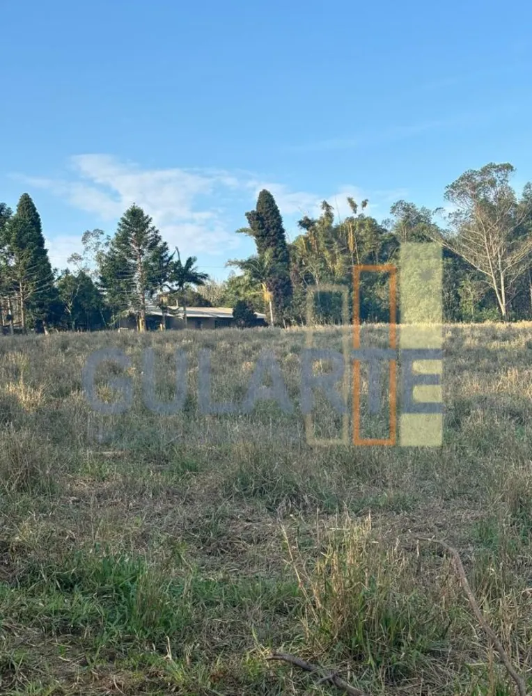 Fazenda, 56 hectares - Foto 3