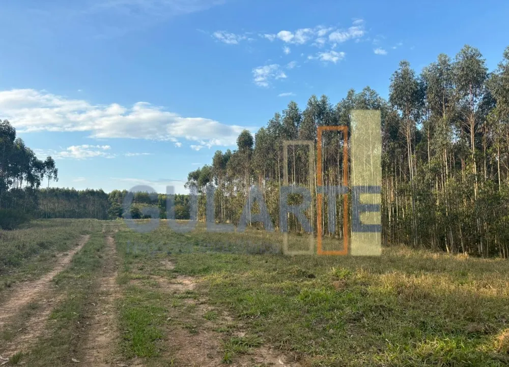 Fazenda, 56 hectares - Foto 3
