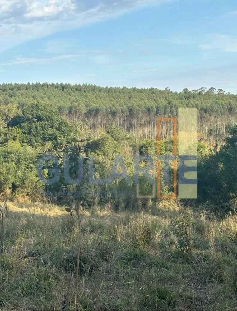 Fazenda, 56 hectares - Foto 5