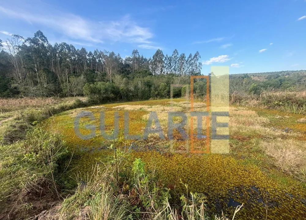 Fazenda, 56 hectares - Foto 6